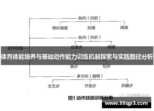 体育体能培养与基础动作能力训练机制探索与实践路径分析